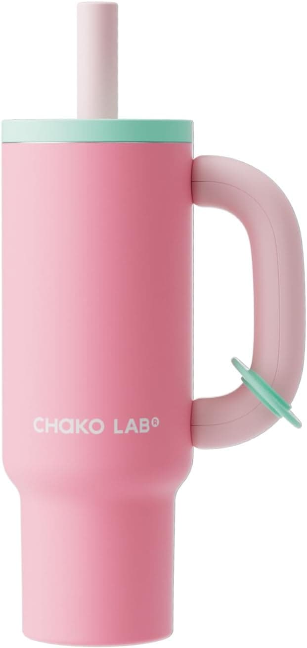 CHAKO LAB BaWang Insulated Stainless Steel Tumbler - 33oz with Handle and Straw — Spring Gift Ideas gift idea