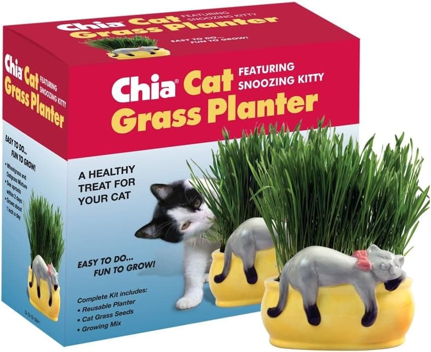 Chia Pet Kitty Cat Grass Planter — Easter Gifts gift idea