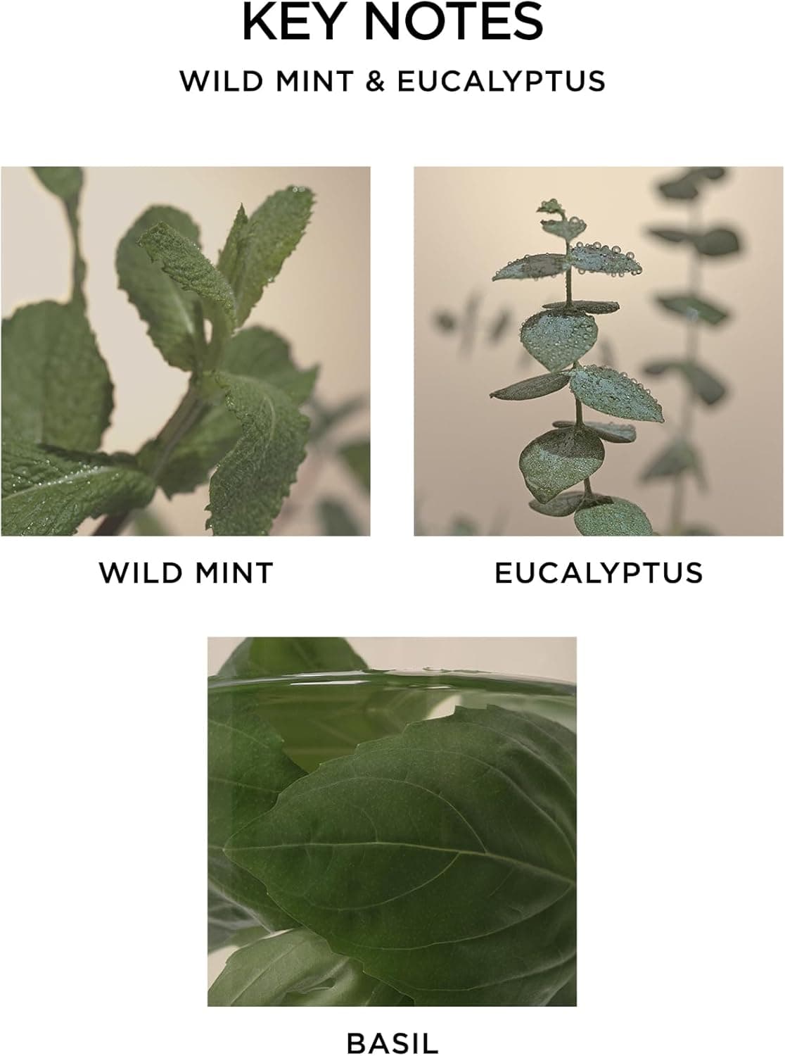 NEST New York Wild Mint & Eucalyptus Reed Diffuser thumbnail 4