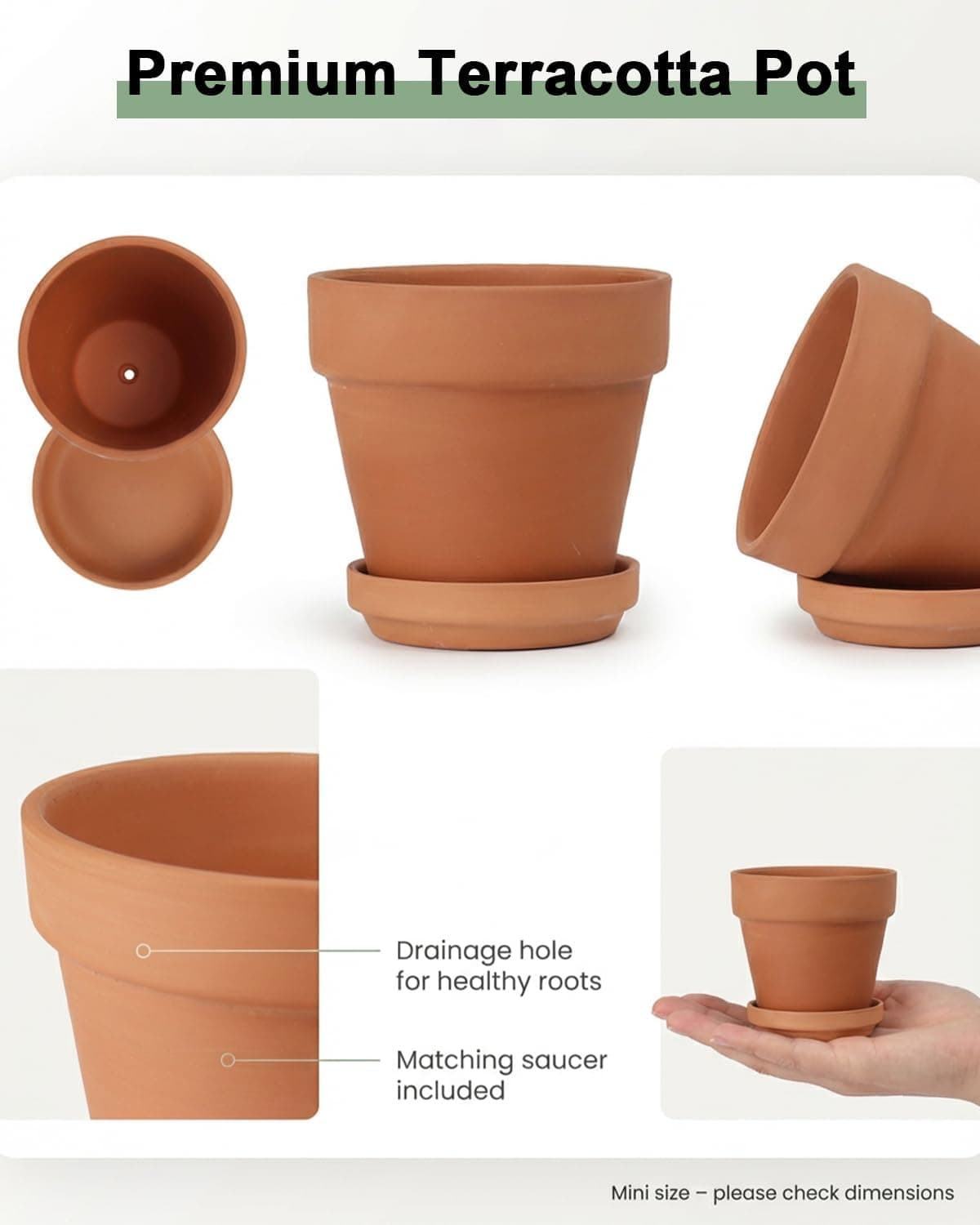 Riseuvo 3 Inch Terra Cotta Pots with Saucer - 12 Pack thumbnail 2