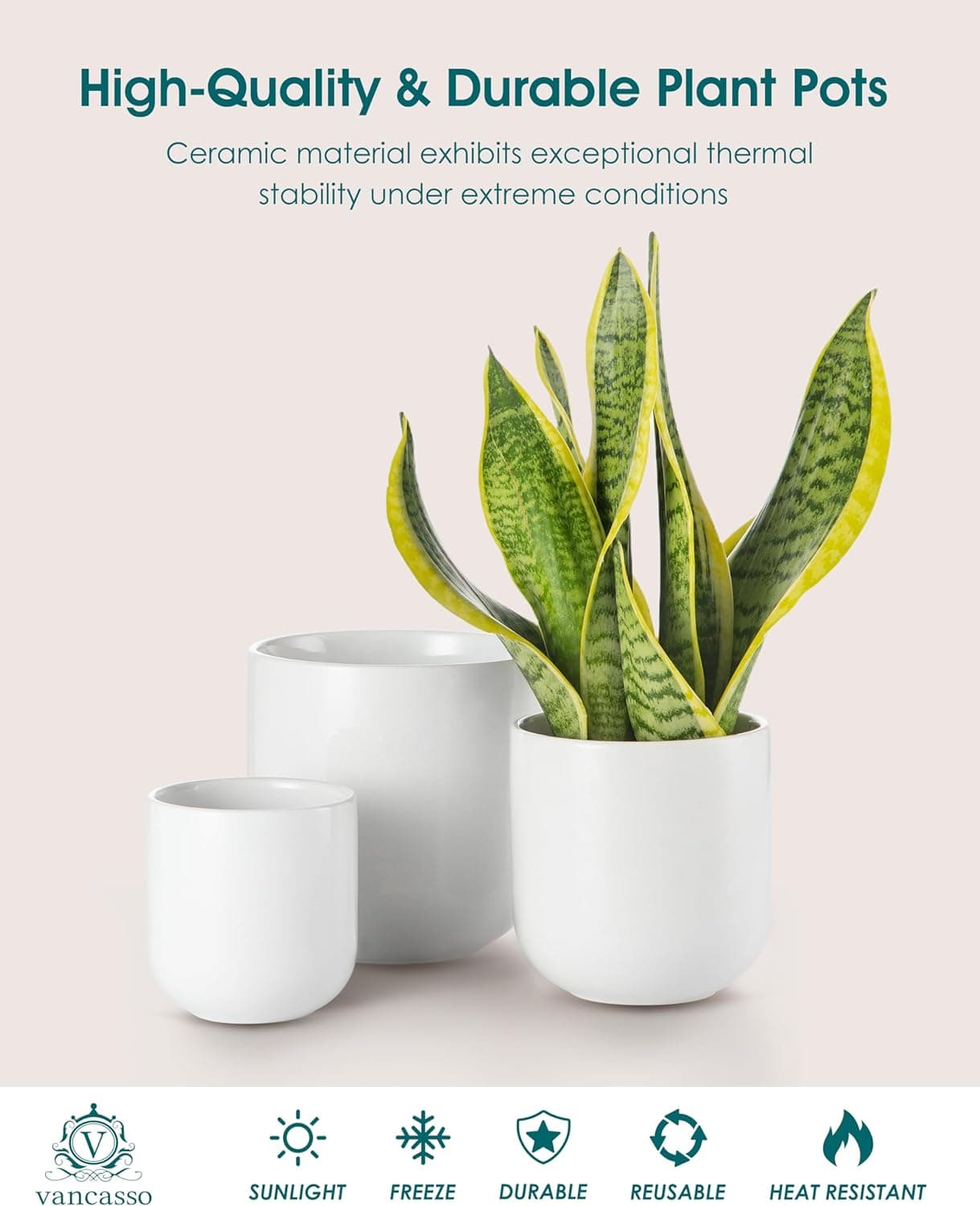 Vancasso Ceramic Plant Pots Set of 3 thumbnail 4