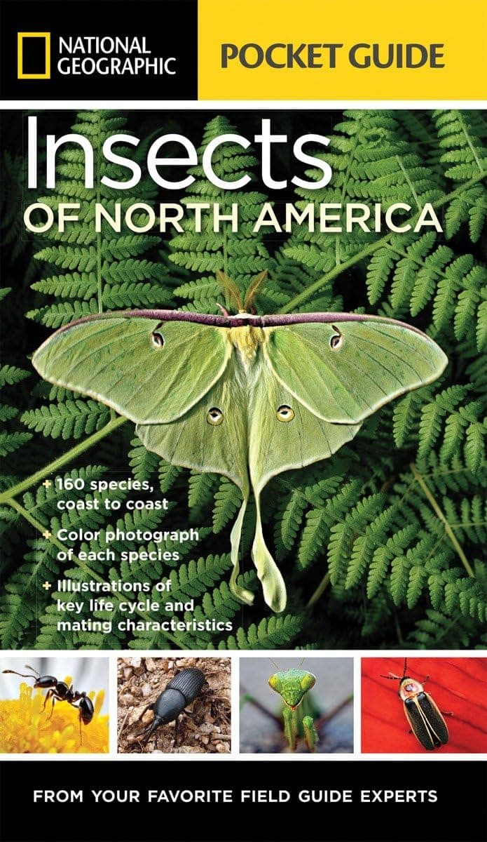 National Geographic Pocket Guide to Insects of North America — Spring Gift Ideas gift idea