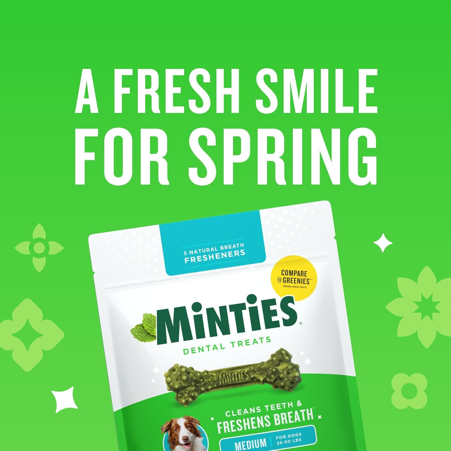 Minties Dog Dental Bone Treats - 60 Count thumbnail 2