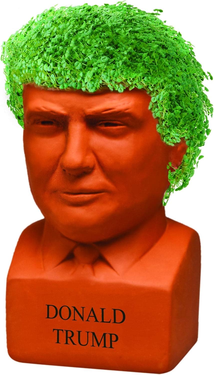 Chia Pet Donald Trump thumbnail 3