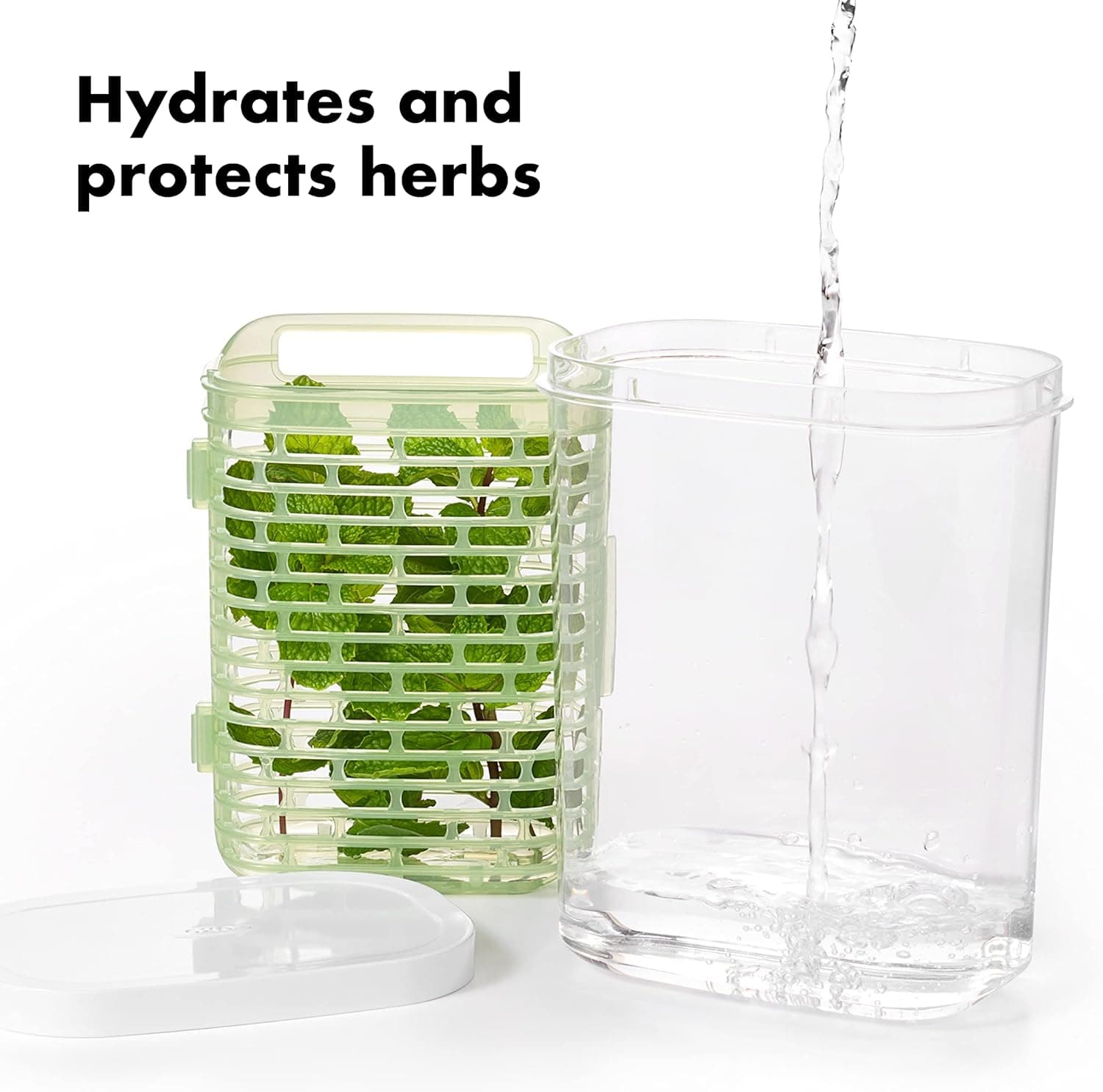 OXO Good Grips GreenSaver Herb Keeper- 1.8 QT : Home &amp; Kitchen thumbnail 3