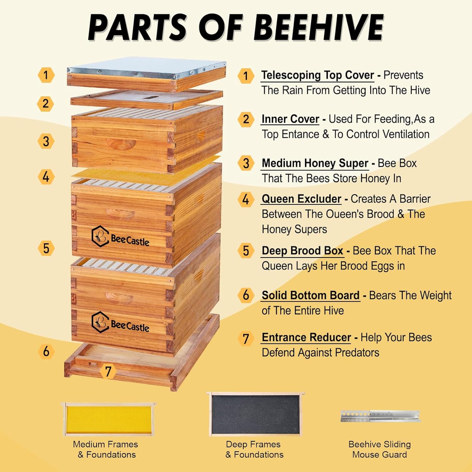 BeeCastle 10 Frame Langstroth Bee Hive with Beeswax Coating thumbnail 2