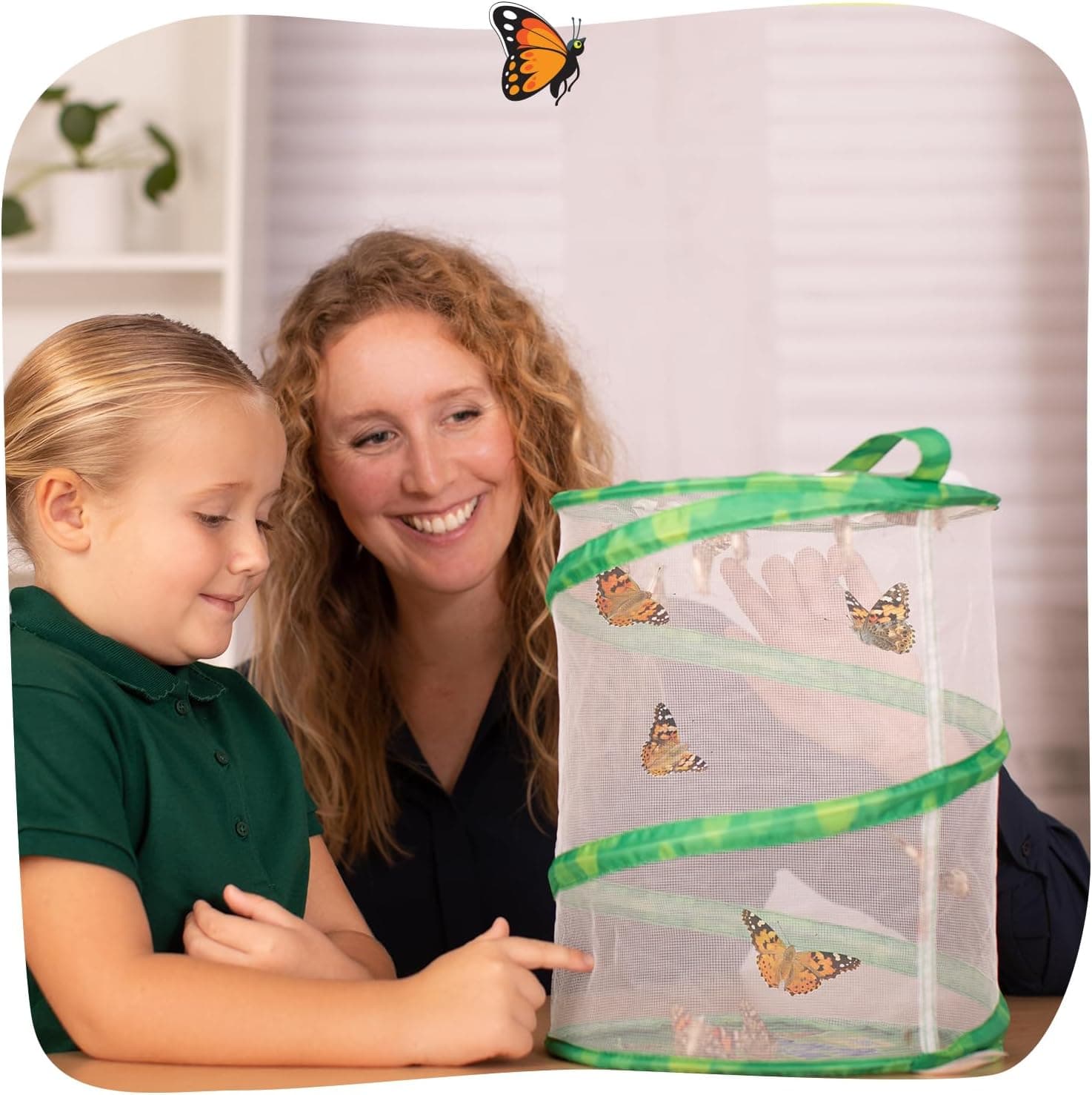 Insect Lore Butterfly Garden Kit with Live Caterpillars thumbnail 3
