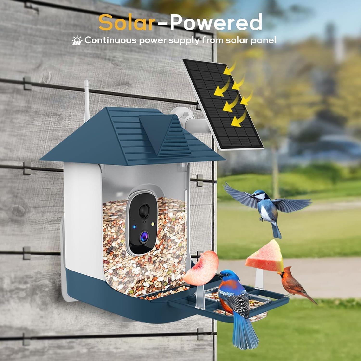 Bird Feeder with Camera,WiFi Outdoor Smart Bird Feeder Camera with Built-in AI Birds Recognition,Solar Powered,Auto Record Video by Cloud Storage,FHD Birds House with Cam,Ideal Gift for Dad and Mom : Patio, Lawn &amp; Garden thumbnail 5