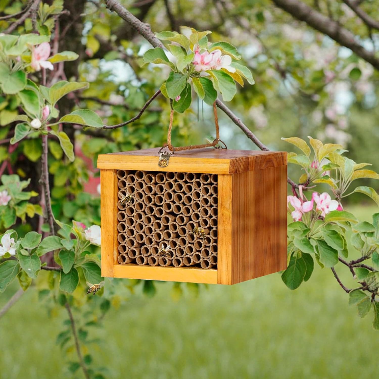 Mason Bee House - Wax Coated Bee Hotel for the Garden, Natural Handmade Wooden Insect Hotel, Mason Bee Home for Outdoors, Attracts Peaceful Bee Pollinators to Your Garden : Patio, Lawn &amp; Garden thumbnail 5