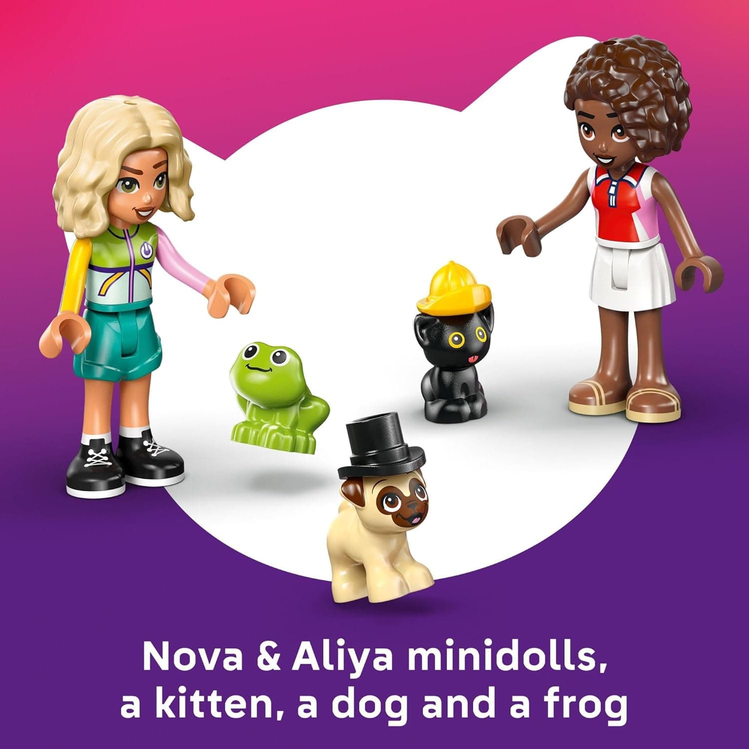LEGO Friends Pet Accessories Van Building Toy for Girls &amp; Boys - Pretend Play Set for Kids, Ages 6+ - W/Nova &amp; Aliya Minidolls, 3 Pet Figures, &amp; Accessories - Gift Idea for Birthdays - 42678 : Toys &amp; Games thumbnail 5