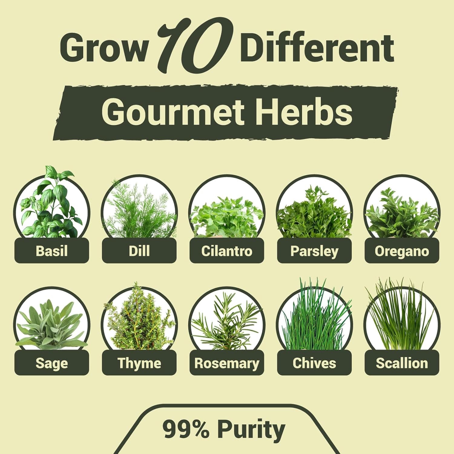 10 Herb Garden Planter Indoor Kit - Complete Kitchen Herb Starter Set thumbnail 2