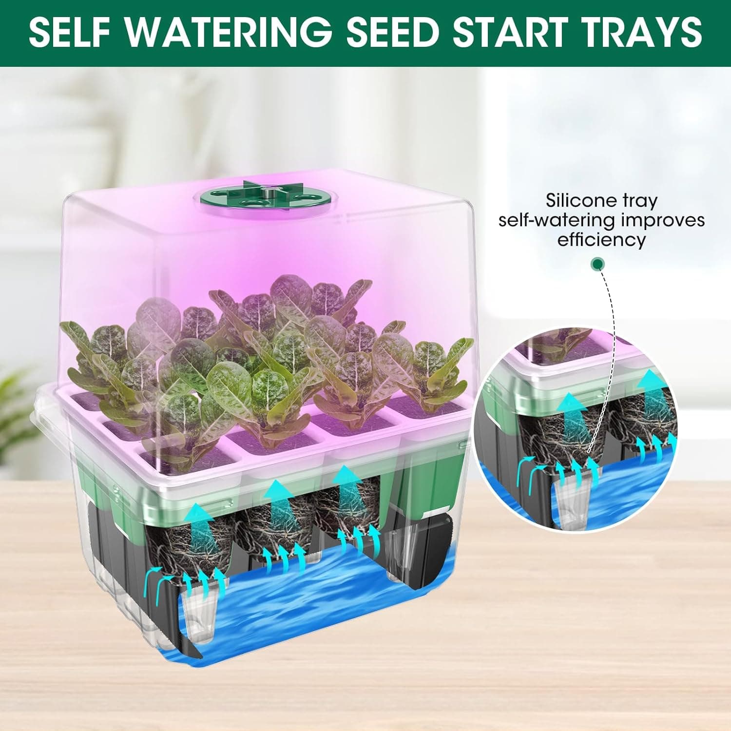 60-Cell Self Watering Seed Starter Tray with Grow Light - 5 Pack thumbnail 3