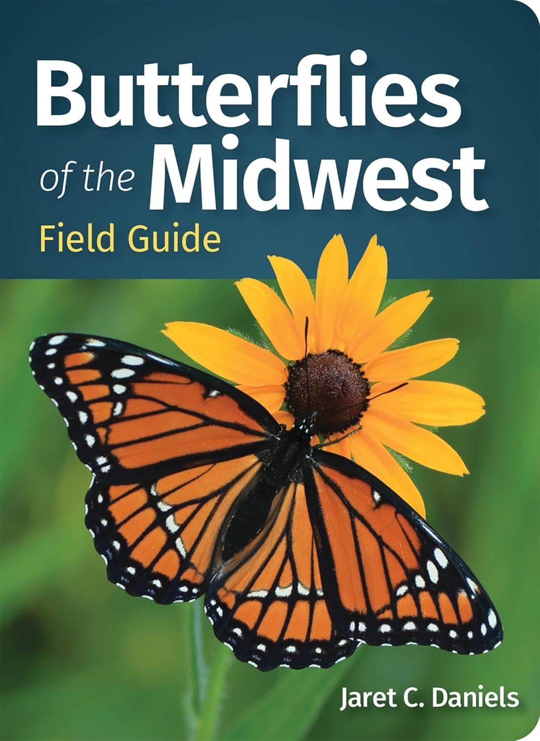 Butterflies of the Midwest Field Guide (Butterfly Identification Guides): Daniels, Jaret C.: 9781647552855: Amazon.com: Books — Spring Gift Ideas gift idea