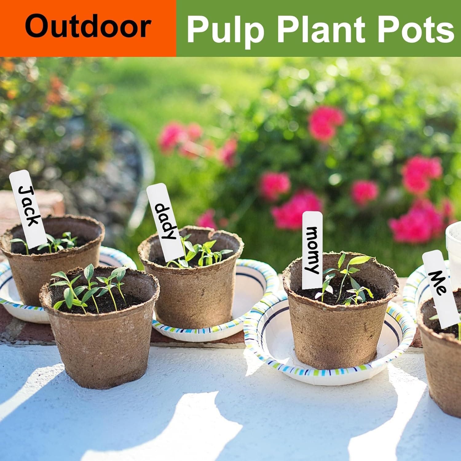 130 Pack Organic Peat Pots with Plant Labels thumbnail 2