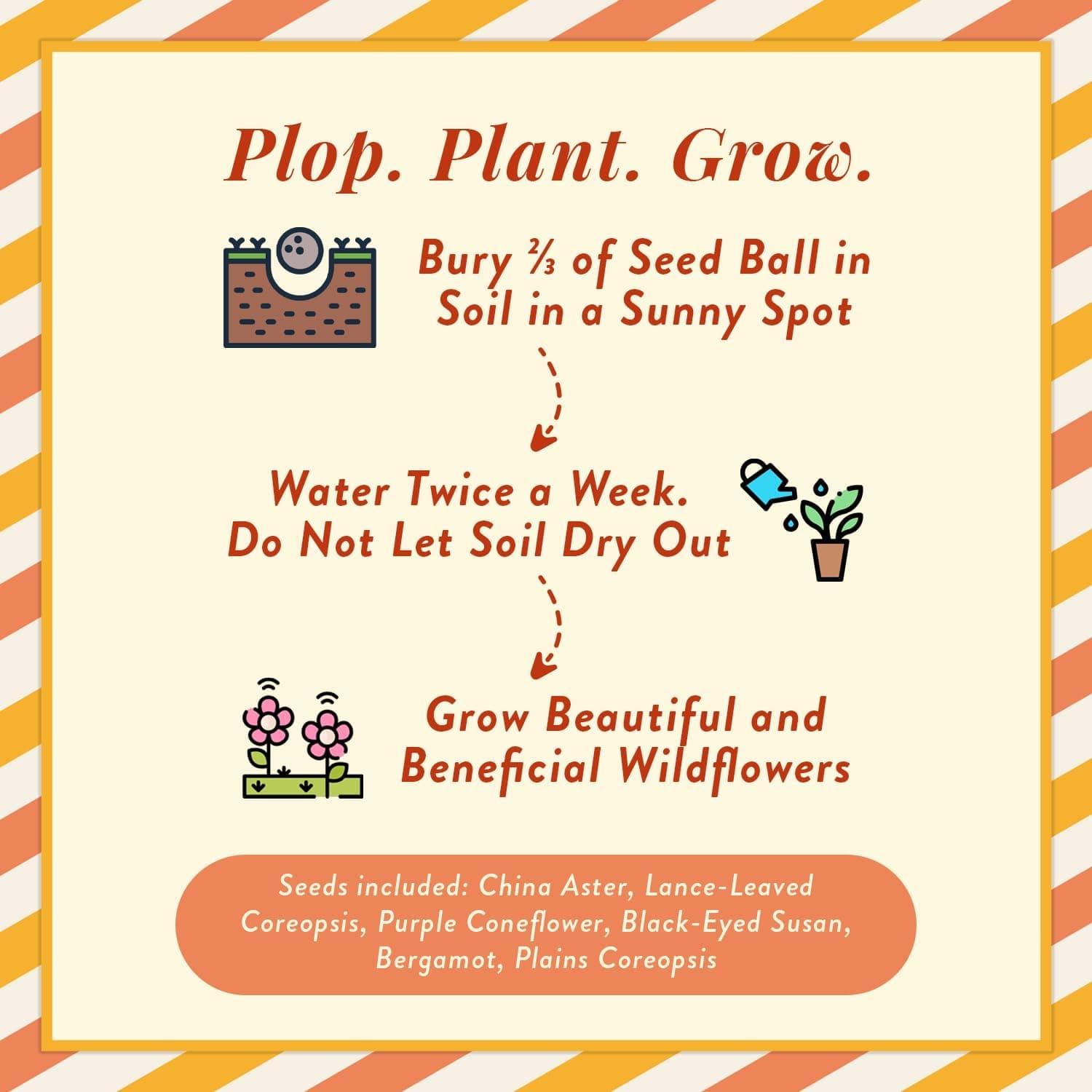 Modern Sprout Wildflower Seed Bombs - Pack of 3 thumbnail 2