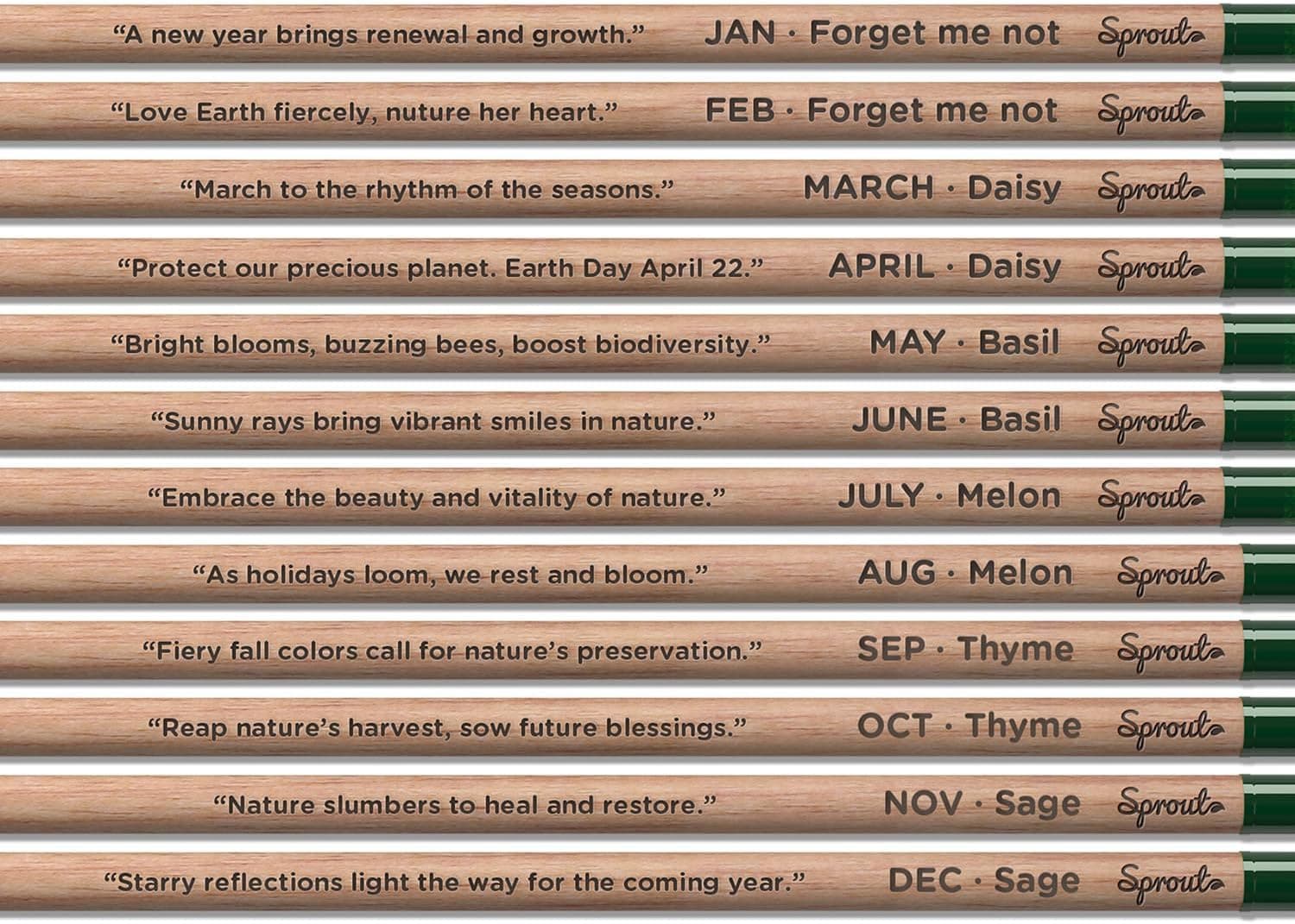 SproutWorld Wood-Cased Pencils | EVERYDAY EARTH | HB Pre-Sharpened Graphite Plantable Wooden Pencils with Flower, Herb &amp; Vegetable Seeds |Gift Ideal for Drawing, Sketching &amp; Shading | 12 Pack : Office Products thumbnail 3