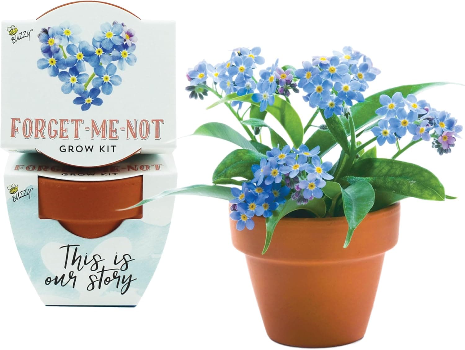 BUZZY Seeds Forget-Me-Not Terracotta Mini Grow Pots Love Collection, 12-Pack All-in-One Gardening Kit for Wedding Favors, Prizes, Birthday Gifts, Party Favors, Bridal Showers, Valentines : Patio, Lawn &amp; Garden thumbnail 2