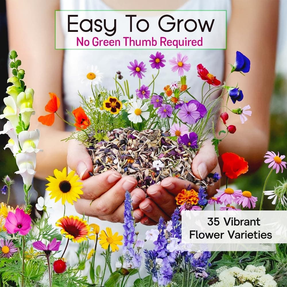 NatureZ Edge Wildflower Seeds - 35 Variety Mix (340,000 Seeds) thumbnail 2