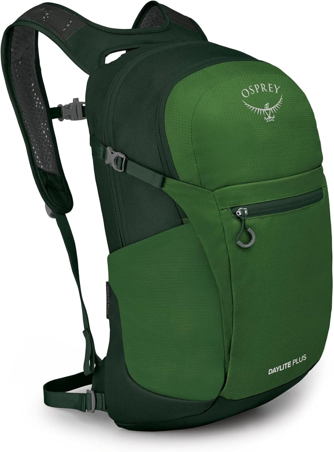 Osprey Daylite Plus Commuter Backpack - Lightweight, Everyday Pack with Laptop Sleeve and Water Bottle Pockets - Ideal for Work, School, and Travel with Versatile Storage, Green Belt/Green Canopy : Sports &amp; Outdoors view 1