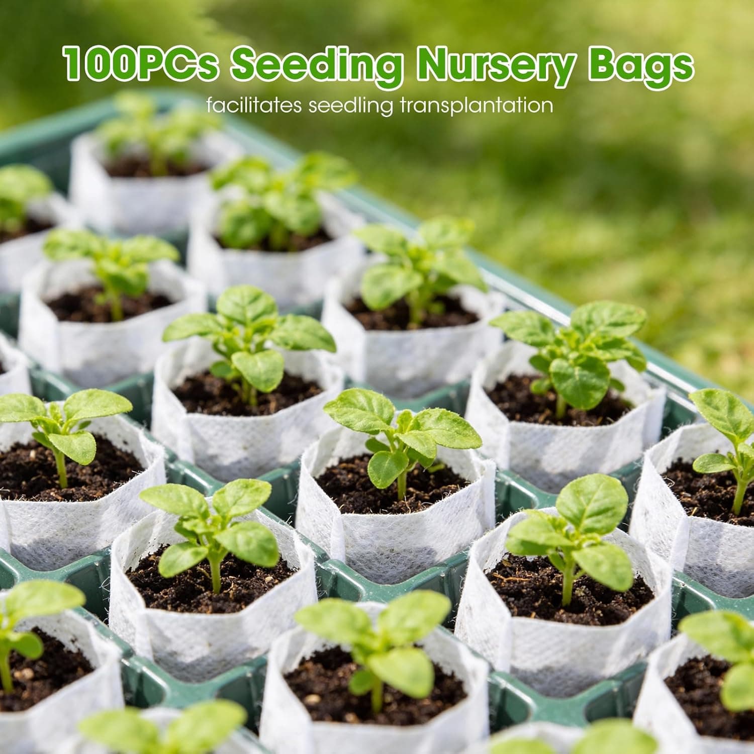 Seed Starter Tray with Grow Light, 2 Pack 80-Cell Seedling Starter Kit with Smart Timer &amp; Humidity Dome, Indoor Plant Germination Kit with 100pcs Nursery Bags &amp; 2-in-1 Sprinkler for Seed Starting : Patio, Lawn &amp; Garden thumbnail 5