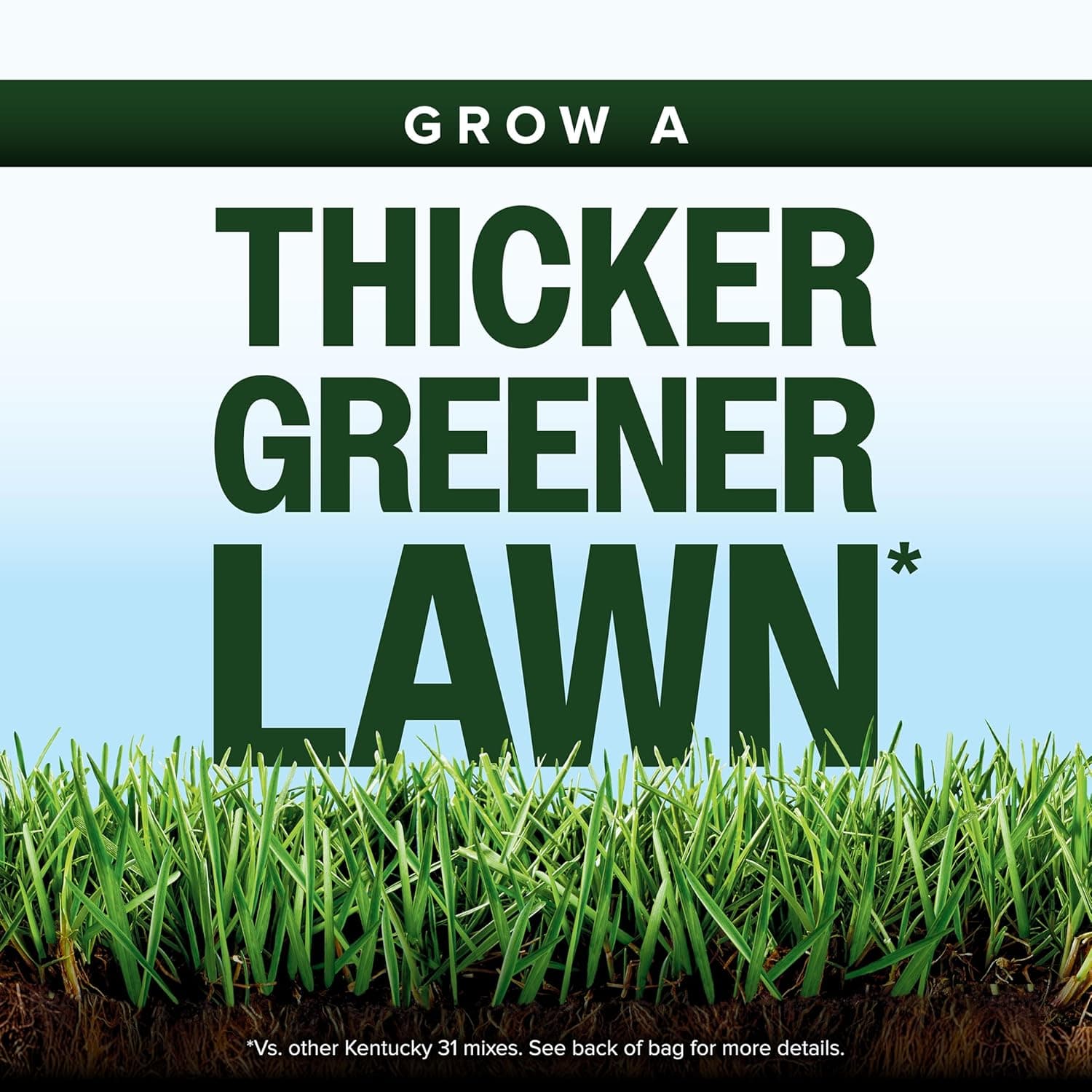 Scotts Kentucky 31 Grass Seed Mix - Premium Lawn Grass Seed, Covers Up to 5,000 sq. ft., 20 lb : Patio, Lawn &amp; Garden thumbnail 2