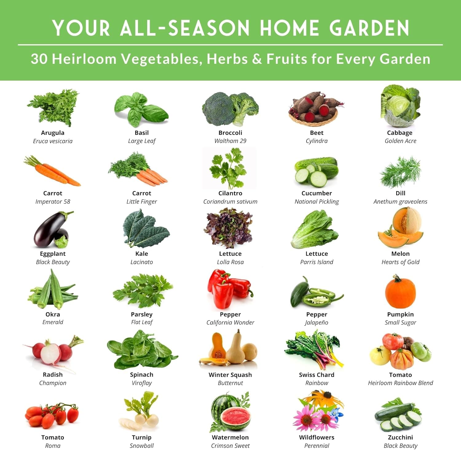 Home Garden Vegetable Seeds 30 Variety Pack – Heirloom Seed Vault Kit thumbnail 2