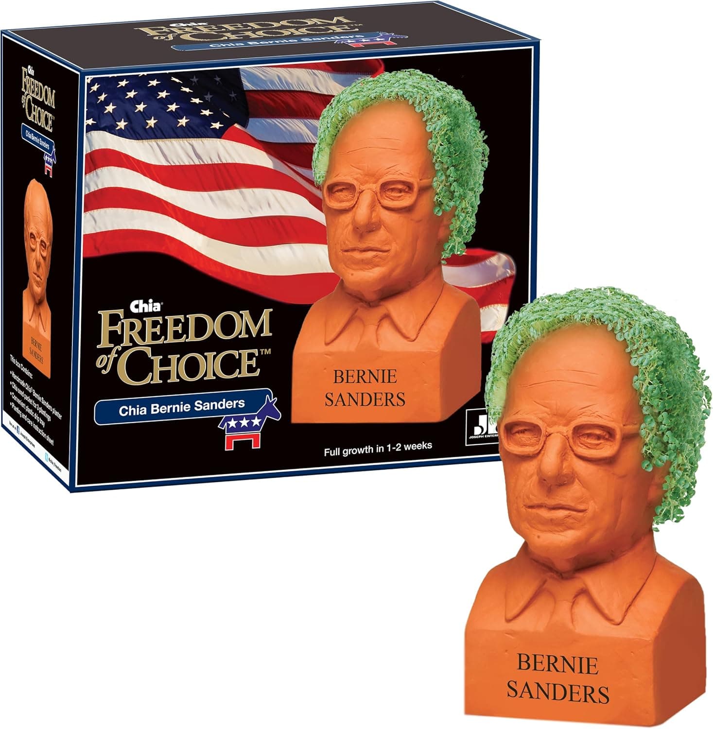 Chia Pet Donald Trump thumbnail 5