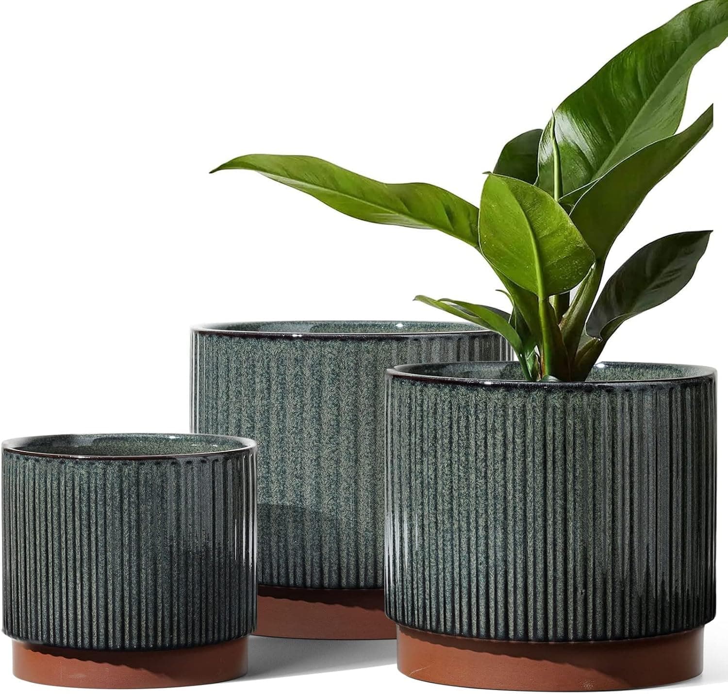 LE TAUCI Ceramic Plant Pots with Drainage Holes - Set of 3 — gift idea