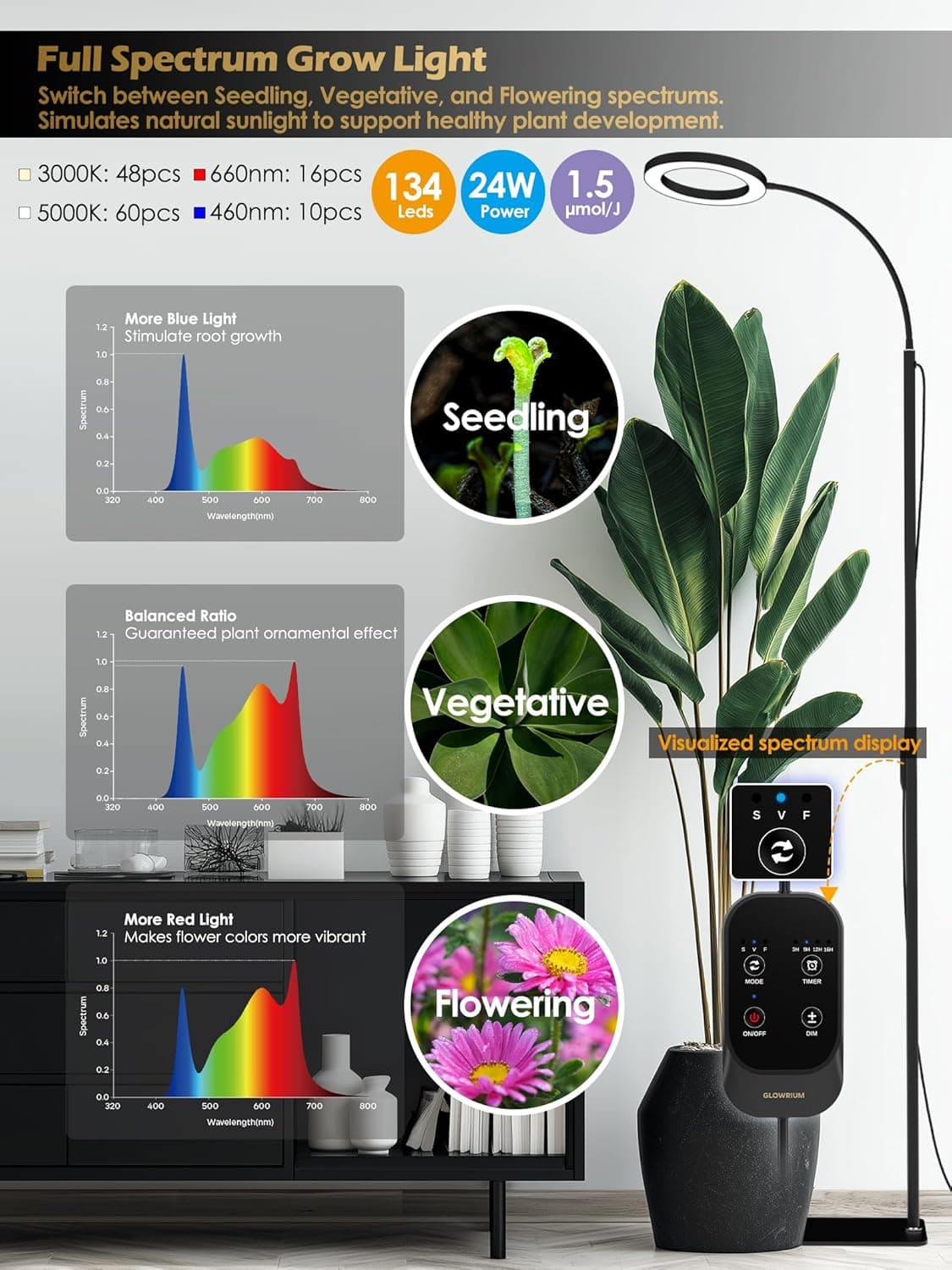 GLOWRIUM Full Spectrum LED Grow Light with Adjustable Height and Timer - 24W thumbnail 4