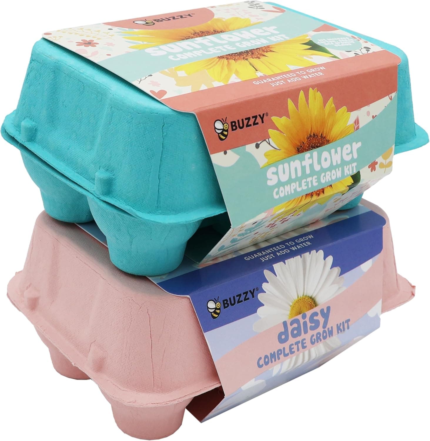 Buzzy Seeds Flower Starter Kit - 2-Pack Sunflower & Daisy thumbnail 5