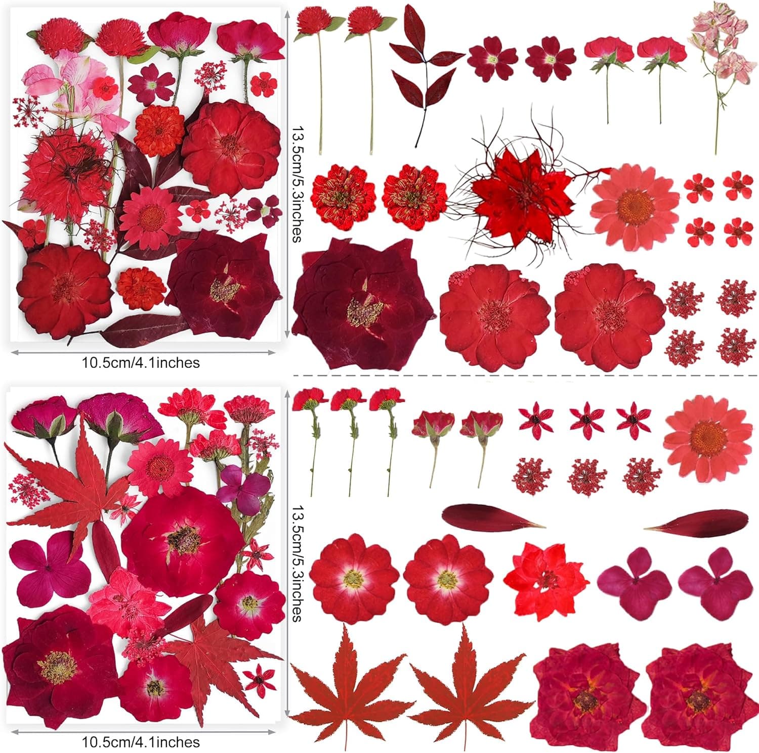150PCS Red Dried Pressed Flowers with Butterfly Stickers thumbnail 4