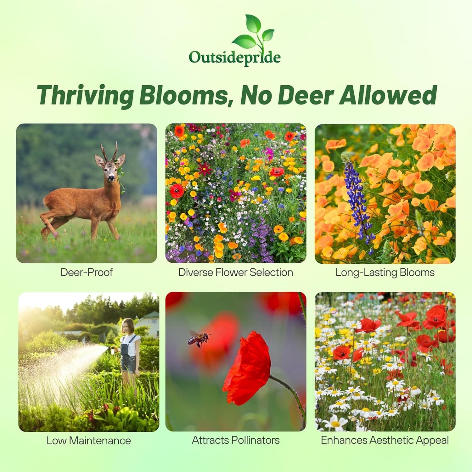Outsidepride Deer Proof Wildflower Seed Mix - 1 lb. Colorful Blend of Easy to Grow, Drought-Tolerant Annual &amp; Perennial Wildflower Seeds for a Deer-Free,Vibrant Meadow &amp; Pollinator-Friendly Garden : Flowering Plants : Patio, Lawn &amp; Garden thumbnail 2