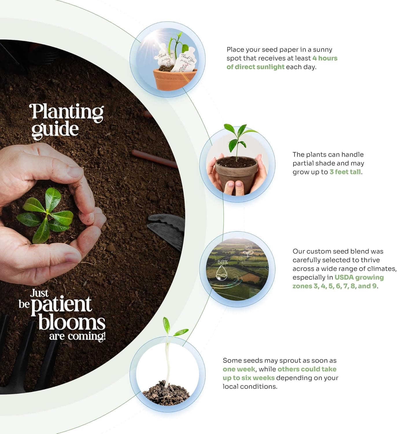 Seed Bloom Thank You Set Greeting Card with Plantable Wildflower Seed Paper thumbnail 5