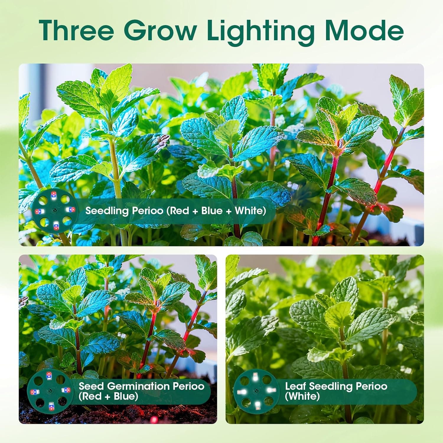 60-Cell Self Watering Seed Starter Tray with Grow Light - 5 Pack thumbnail 5