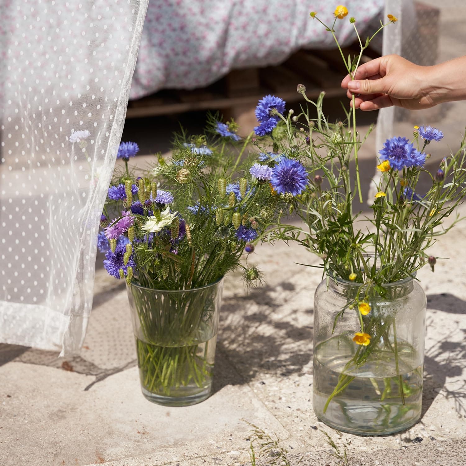 SproutWorld Pencil | Thank You Edition | Plantable pencils with flower seeds | Sustainable gift to say thank you | Pack of 5 | Eco-friendly wood : Office Products thumbnail 3