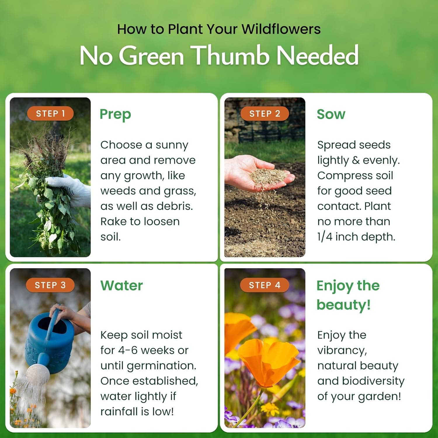 Created By Nature California Wildflower Seed Mix with Poppies, 22 Flower Varieties, 54,000+ Seeds : Patio, Lawn &amp; Garden thumbnail 4