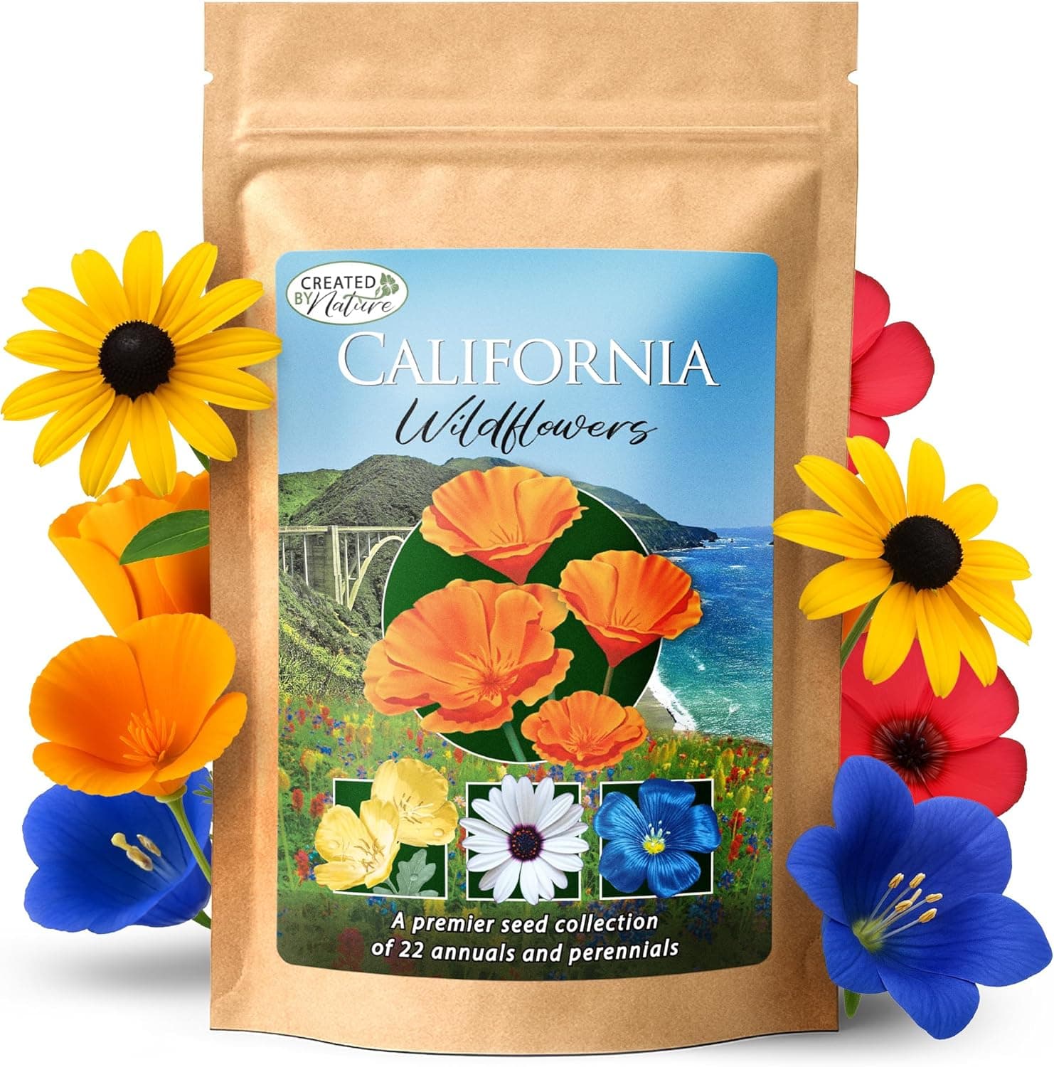 Created By Nature California Wildflower Seed Mix with Poppies, 22 Flower Varieties, 54,000+ Seeds : Patio, Lawn &amp; Garden — Spring Gift Ideas gift idea