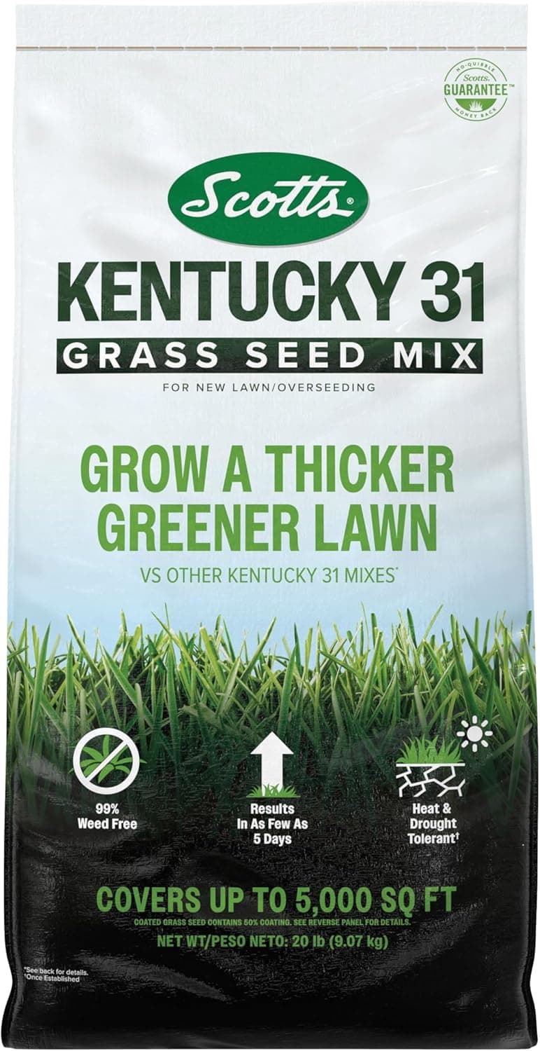 Scotts Kentucky 31 Grass Seed Mix - Premium Lawn Grass Seed, Covers Up to 5,000 sq. ft., 20 lb : Patio, Lawn &amp; Garden — Spring Gift Ideas gift idea