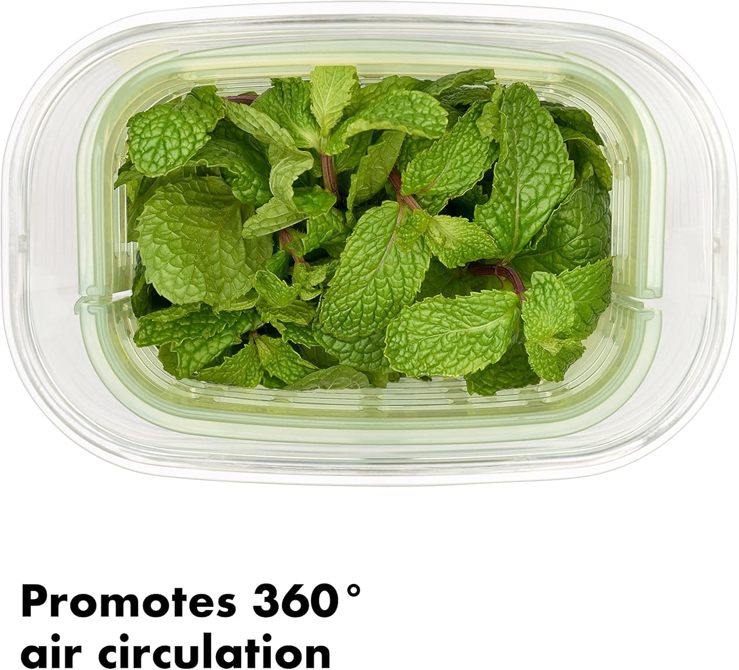 OXO Good Grips GreenSaver Herb Keeper- 1.8 QT : Home &amp; Kitchen thumbnail 4