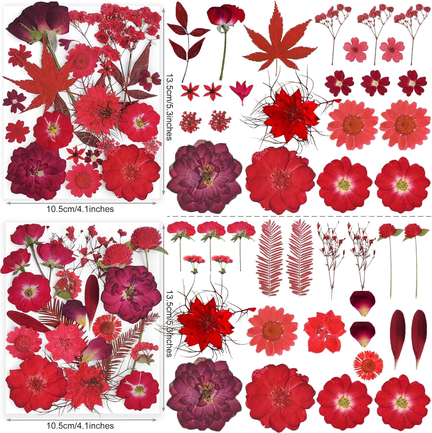 150PCS Red Dried Pressed Flowers with Butterfly Stickers thumbnail 3