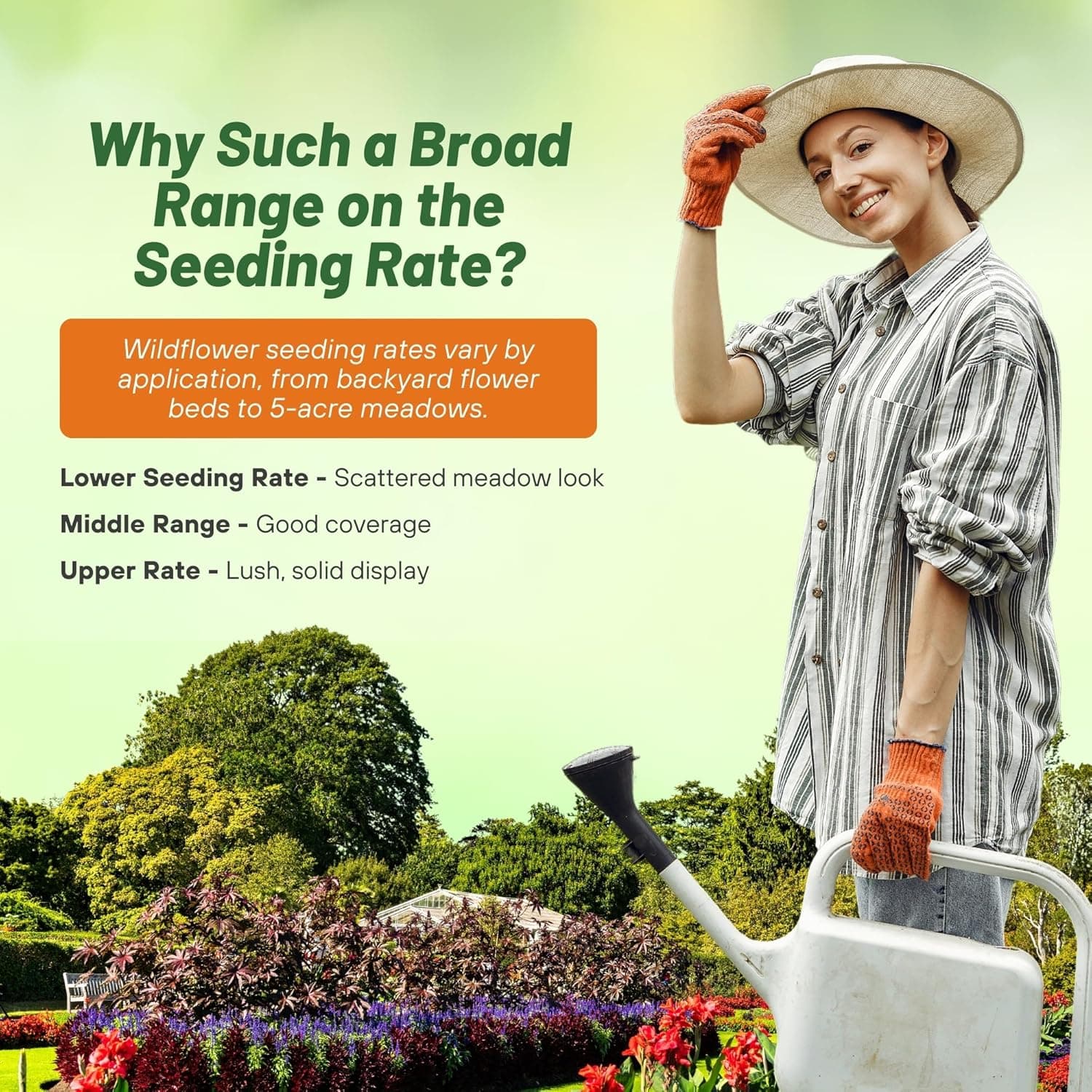 Outsidepride Deer Proof Wildflower Seed Mix - 1 lb. Colorful Blend of Easy to Grow, Drought-Tolerant Annual &amp; Perennial Wildflower Seeds for a Deer-Free,Vibrant Meadow &amp; Pollinator-Friendly Garden : Flowering Plants : Patio, Lawn &amp; Garden thumbnail 5