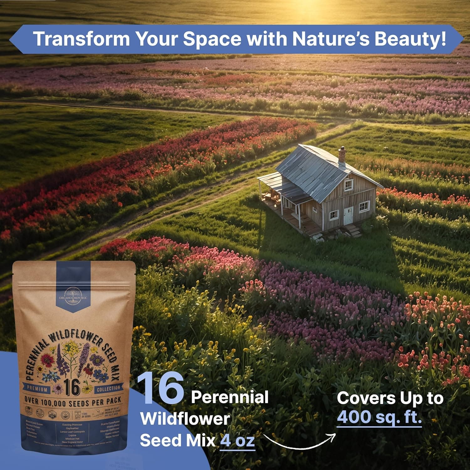 Organo Republic 16 Perennial Wildflower Seeds Mix thumbnail 4