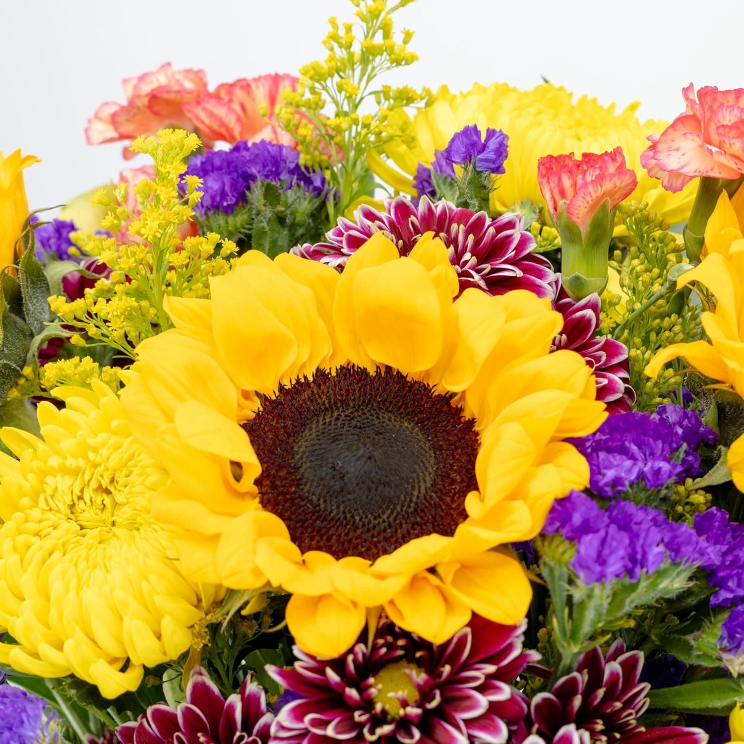 Benchmark Bouquets - Flowering Fields Sunflower Bouquet - Fresh Flowers for Delivery - Real Flowers in a Vase - Birthday Flowers for Women - Congratulations Gift (Glass Vase Included) : Grocery &amp; Gourmet Food thumbnail 4