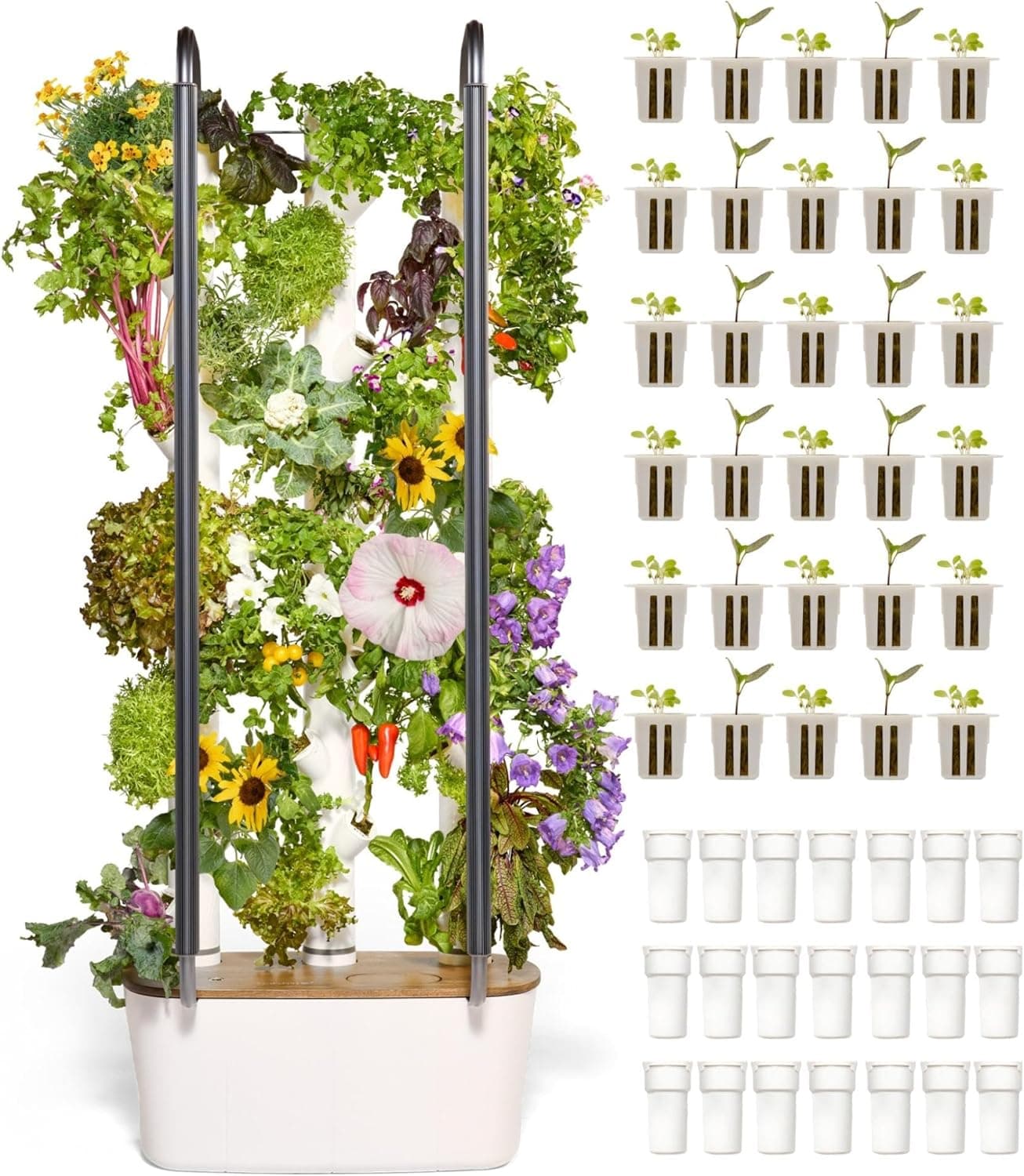 Gardyn Home 4 Vertical Hydroponics Growing System Kit - 30 Non-GMO Plants, Herbs, Vegetables - Smart Tower Garden Hydroponic Herb Garden Planter Indoor Kit - Indoor Gardening System w/LED Grow Lights : Patio, Lawn & Garden view 1